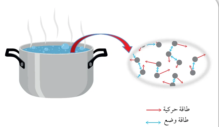 الشكل (2): تمتلك جزيئات الماء طاقة حركية نتيجة حركتها العشوائية، وتوجد أيضًا طاقة كامنة بين جزيئات الماء، وطاقة كامنة بين الذرات داخل الجزيئات.