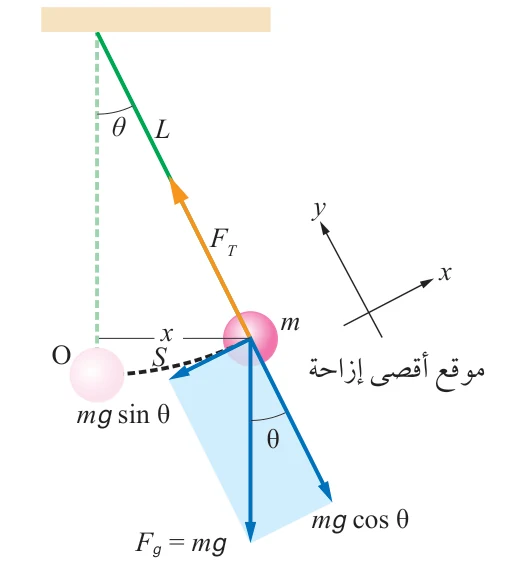 الشكل (11/ب): مخطط الجسم الحر للكرة عند أقصى إزاحة.