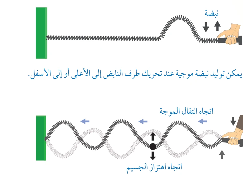 الشكل (15): توليد موجات تنتقل عبر نابض. (أ) يمكن توليد نبضة موجية عند تحريك طرف النابض إلى الأعلى أو إلى الأسفل. (ب) عند انتقال الموجة الجيبية الصادرة عن مصدر مهتزّ إلى اليسار، فإن كل جسيم على النابض يهتزّ إلى الأعلى وإلى الأسفل بحركة توافقية بسيطة.