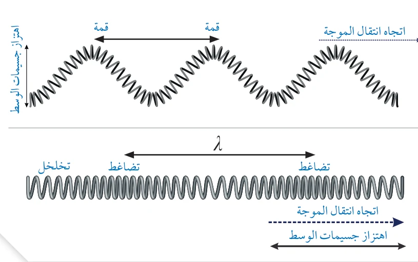 الشكل (17): الموجات المستعرضة والموجات الطولية.