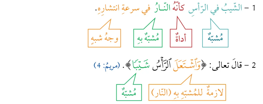 الشّيبُ في الرّأسِ كأنّهُ النّارُ في سرعةِ انتشارِهِ؛ ﴿وَاشْتَعَلَ الرَّأْسُ شَيْبًا﴾