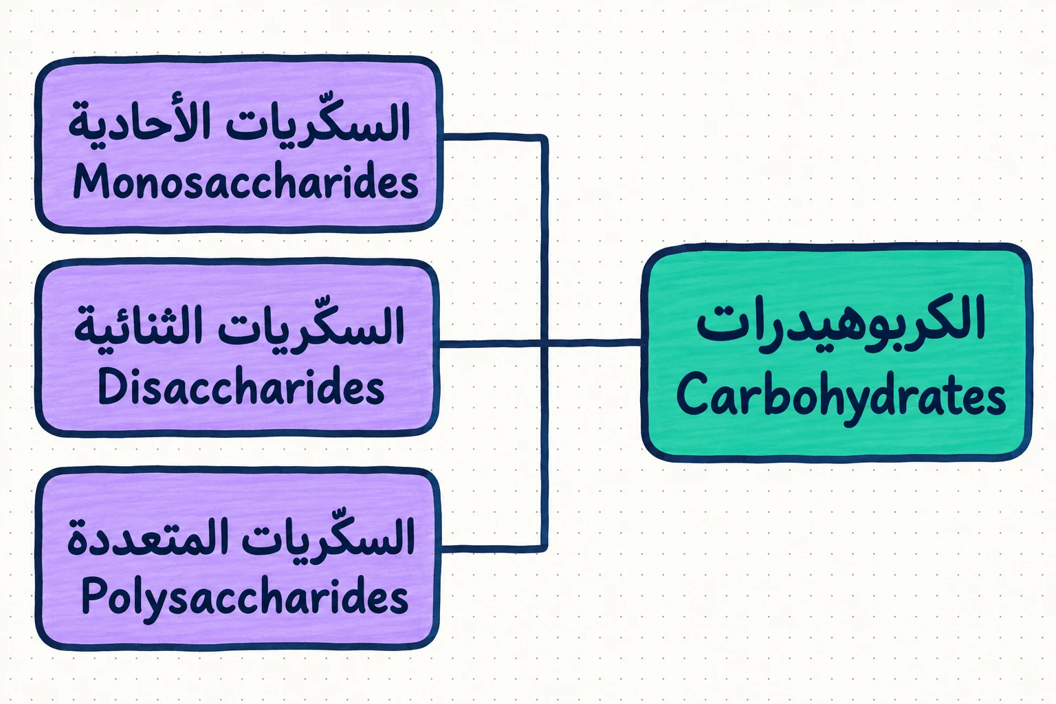 الشكل (2): تصنيف الكربوهيدرات.