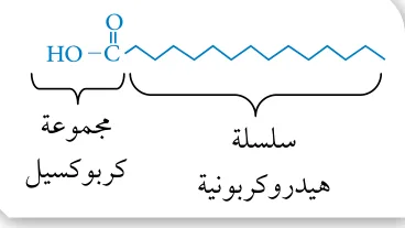 الشكل (14): حمض دهني مُشبَع.