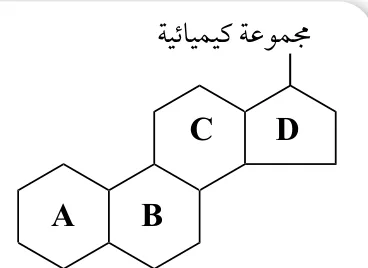 الشكل (18): ستيرويد.