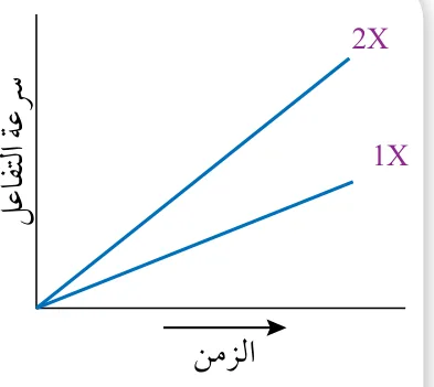 الشكل (31): سرعة التفاعل الكيميائي بوجود تراكيز مختلفة من الإنزيم.