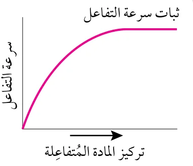 الشكل (32): العلاقة بين تركيز المادة المُتفاعلة وسرعة التفاعل.