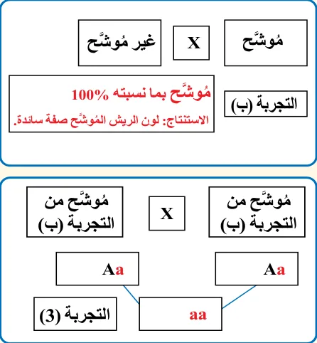 مخطط الحل في المثال (1).