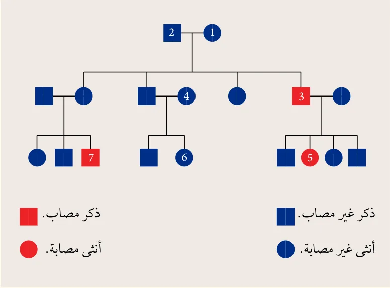 سجل النسب في المثال (5).