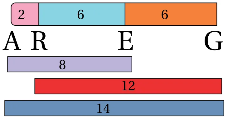 الشكل (23): ترتيب الجينات (A, R, E, G) على أحد الكروموسومات، والمسافة بينها