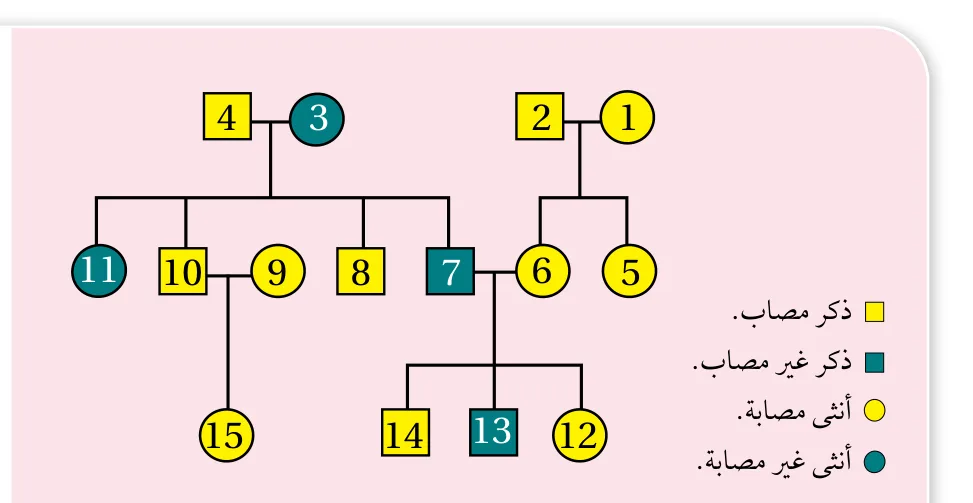 الشكل (36): سجل نسب لتوارث مرض هنتنغتون. أكتب الطرز الجينية لجميع الأفراد الوارد ذكرهم في سجل النسب.
