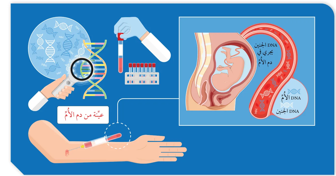 الشكل (41): أخذ عينة من دم الأم لفحص DNA للجنين.