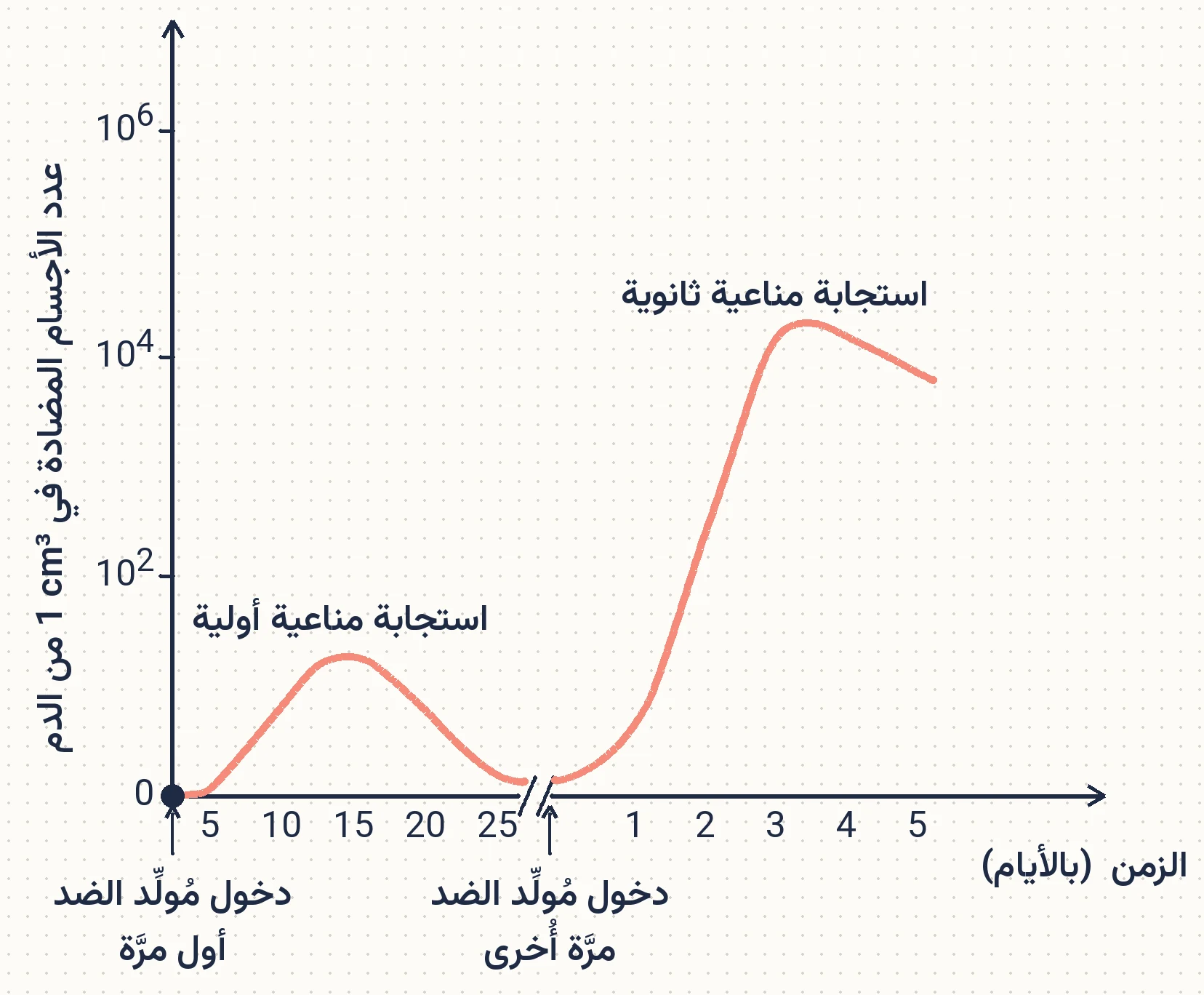الشكل (10): الاستجابة المناعية عند تعرُّض الجسم لمُولِّد الضد.
