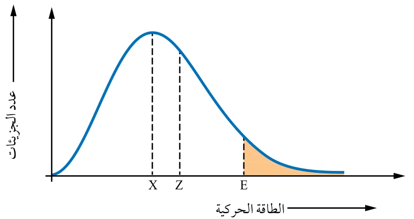 الشكل (10): توزيع الطاقة الحركية لجزيئات السائل عند درجة حرارة معينة