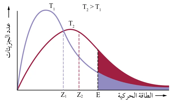 الشكل (11): منحنى توزيع الطاقة الحركية للجزيئات عند درجتي حرارة T₁ و T₂