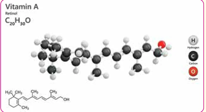 فيتامين A (Vitamin A، Retinol، C20H30O): صيغة بنائية ونموذج جزيئي