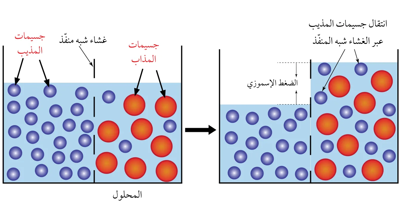 الشكل (14): الضغط الاسموزي.