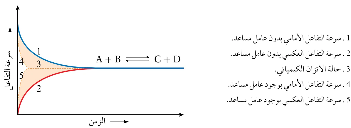 الشكل (9): العامل المساعد وموضع الاتزان.