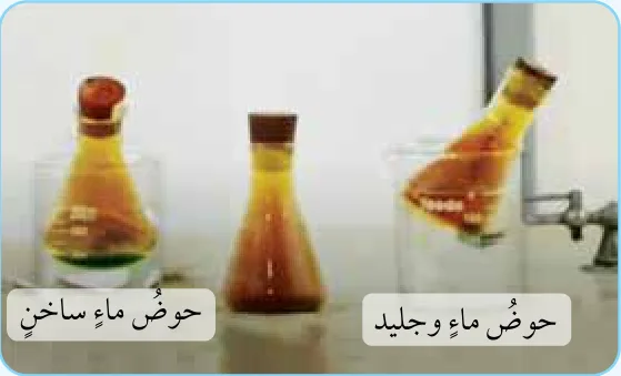 أدوات التجربة: حوض ماء ساخن وحوض ماء وجليد