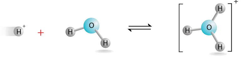 تكوّن أيون الهيدرونيوم: H+ + H2O ⇌ H3O+ (نماذج كروية)