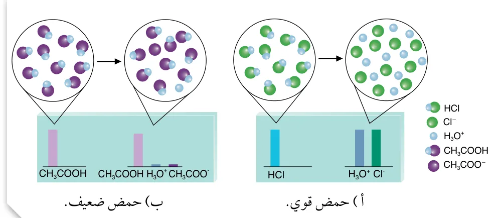 الشكل (4): تأينُ الحموض القوية والحموض الضعيفة في الماء. ملاحظة: تم تمثيل H₃O^+ بكرة واحدة للتسهيل. أ) حمض قوي. ب) حمض ضعيف.