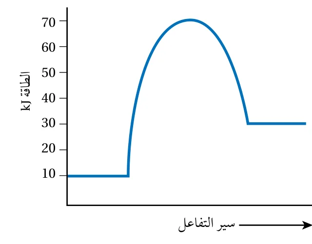 شكل المثال 17
