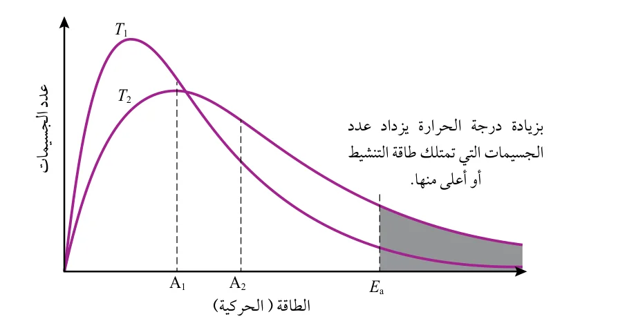 الشكل (22): توزيع الطاقة الحركية على الجسيمات عند درجتي حرارة T₁ و T₂.