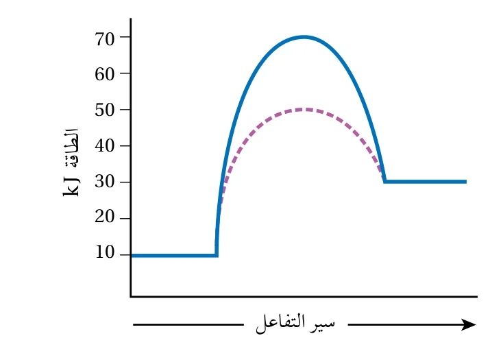 شكل المثال 19