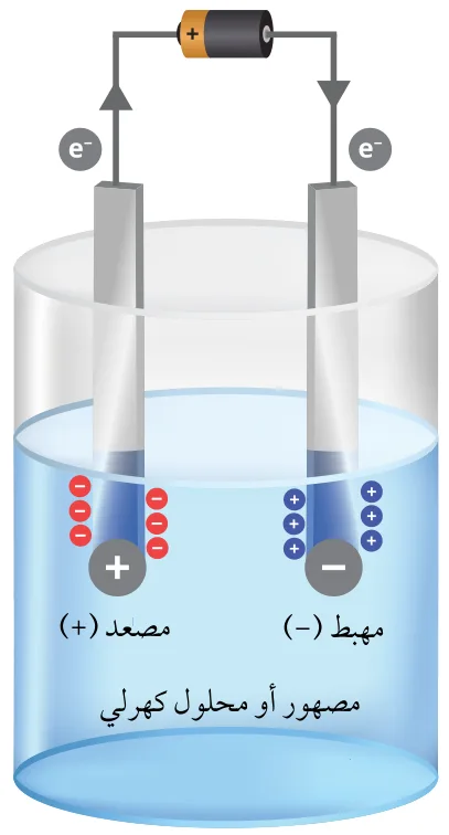 الشكل (13): مكونات خلية التحليل الكهربائي