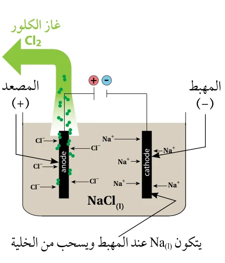 الشكل (14): التحليل الكهربائي لمصهور NaCl