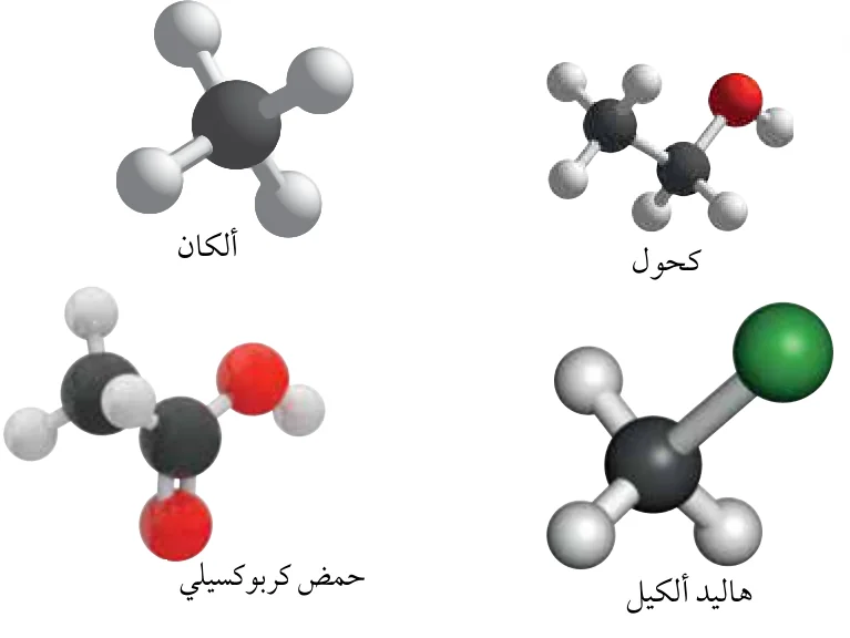 الشكل (13): أمثلة لمركبات عضوية تتفاعل بالاستبدال.