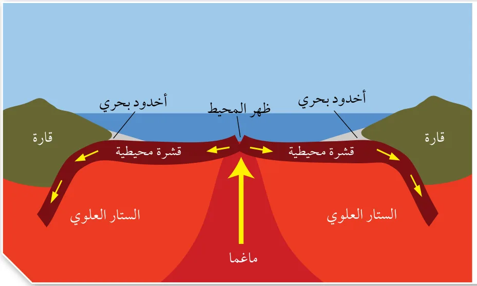 الشكل (6): يتوسع قاع المحيط بصورة دائمة نتيجة خروج الماغما وتصلبها في منطقة وسط ظهر المحيط.