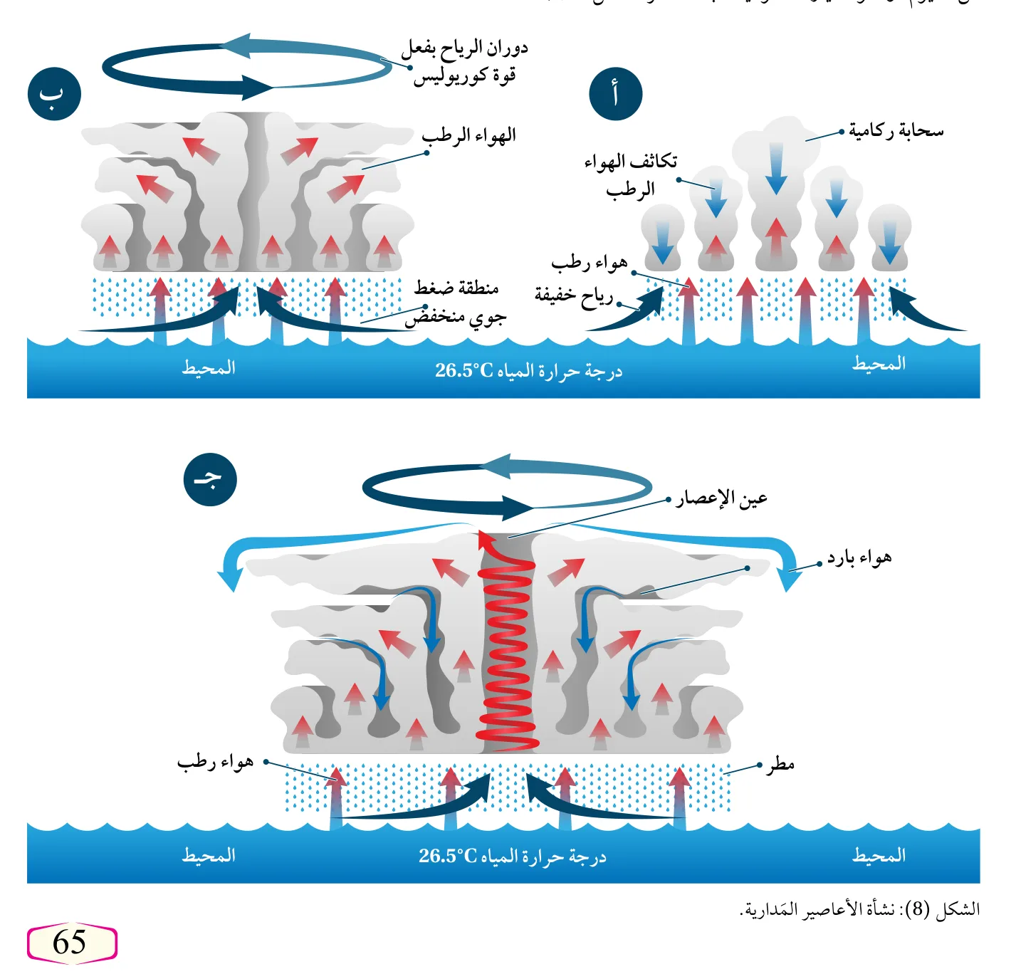 الشكل (8): نشأة الأعاصير المدارية.