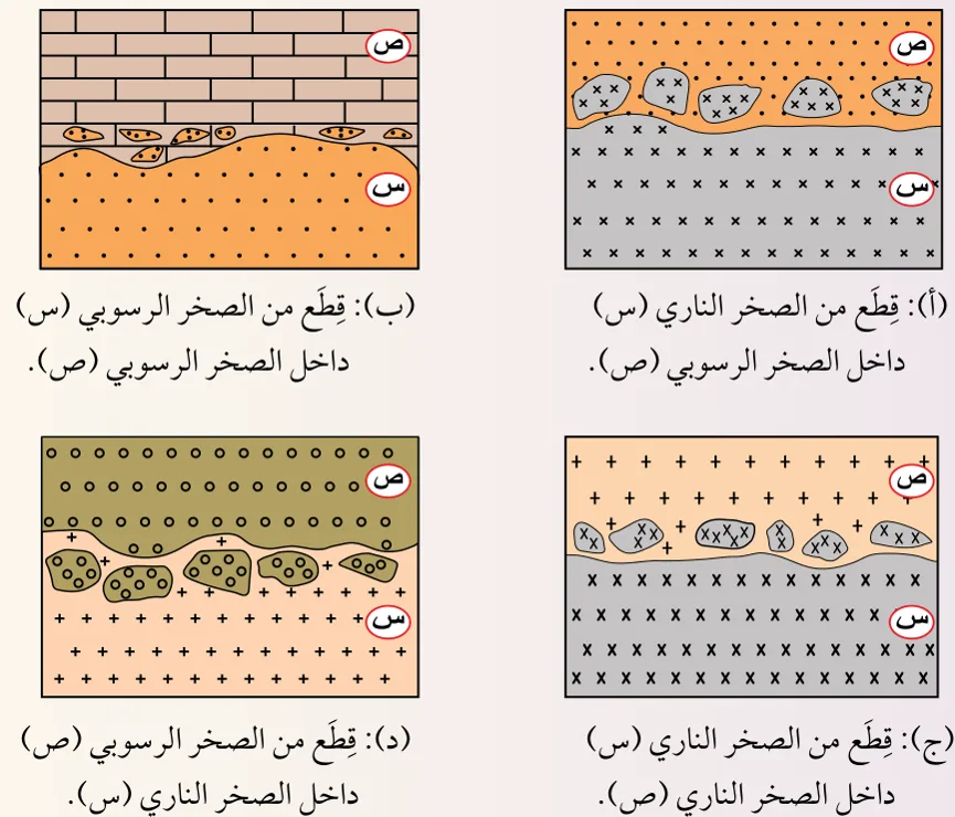 أشكال الاحتواء