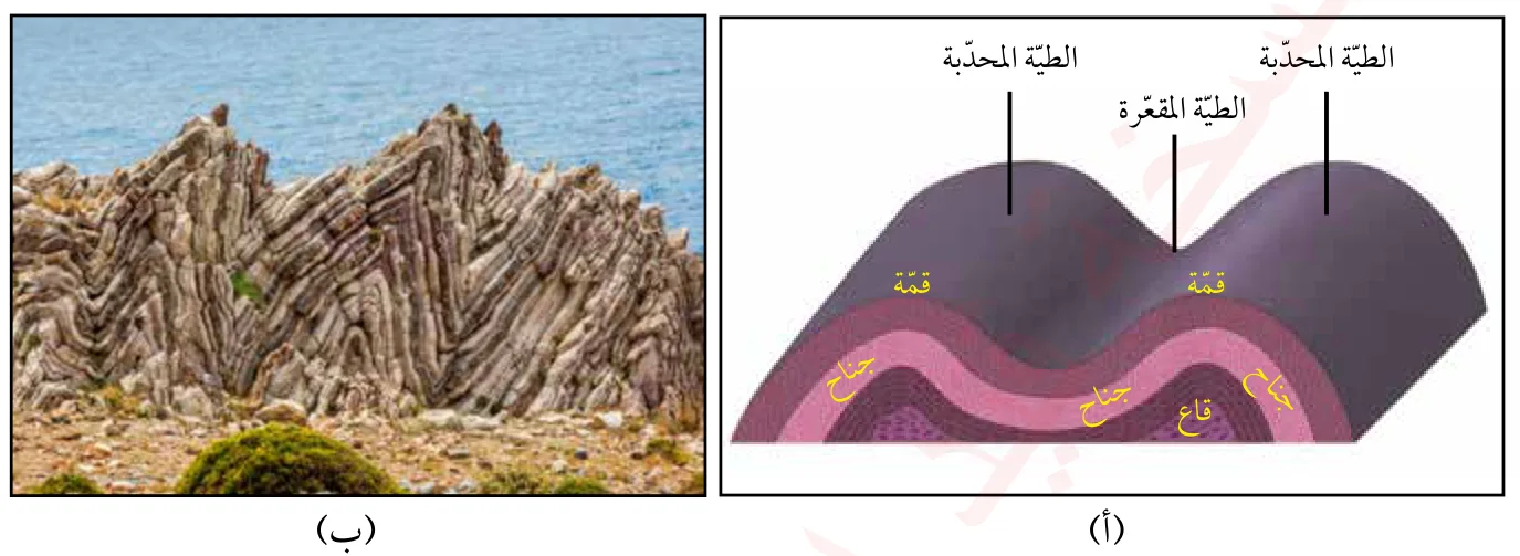 الشكل (1): مكوّنات الطيّة