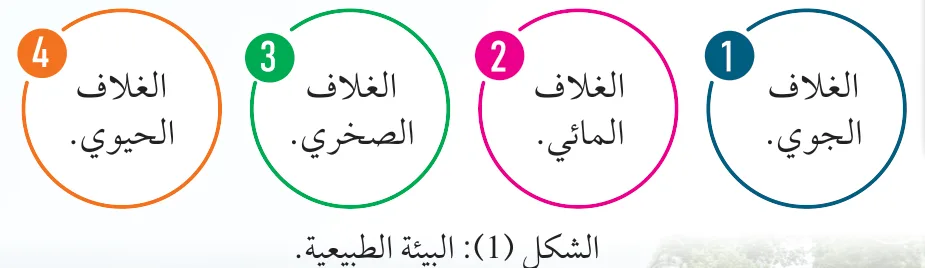 الشكل (1): البيئة الطبيعية