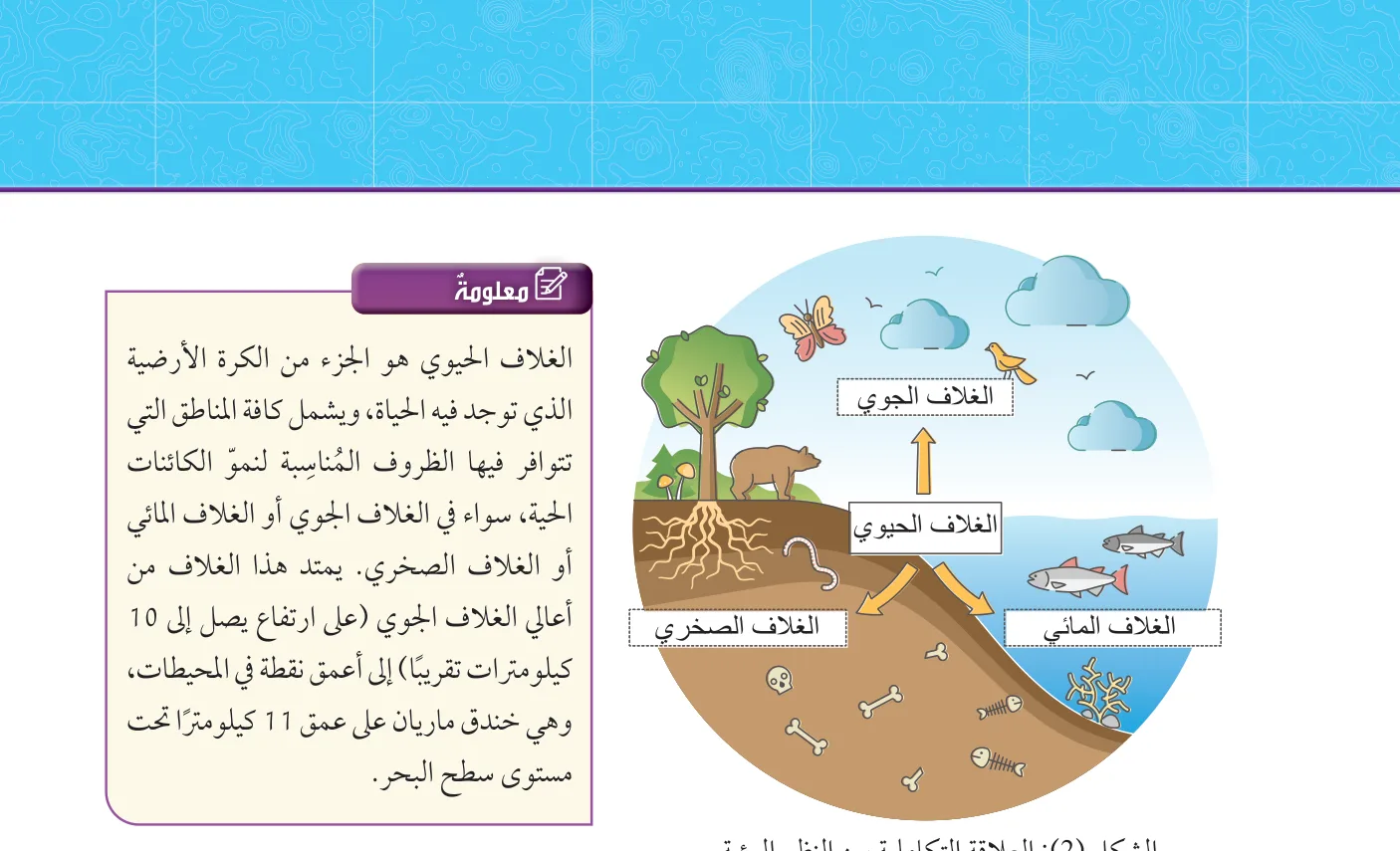 الشكل (2): العلاقة التكاملية بين النظم البيئية