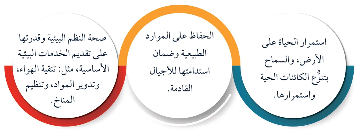 الشكل (8): شكل تعبيري عن التوازن البيئي