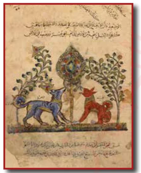الصورة (12): كتاب كليلة ودمنة.