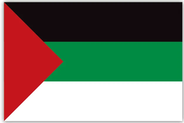 الصورة (2): علم الثورة العربية الكبرى.