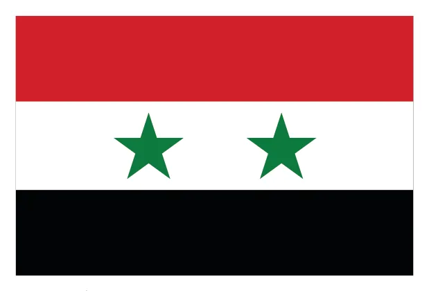 الصورة (4): علم الجمهورية العربية المتحدة.