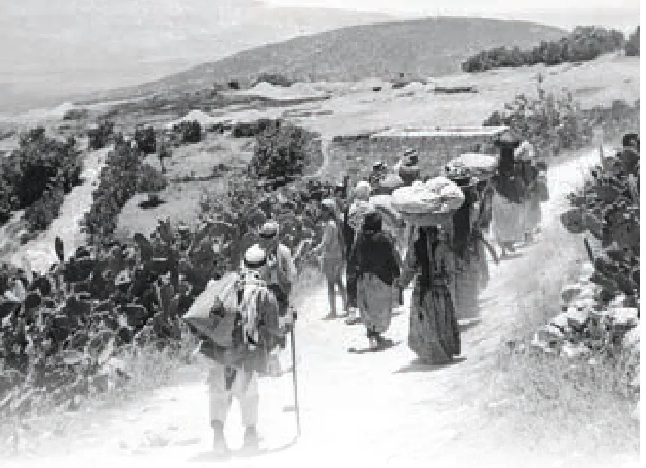 الصورة (12): اللجوء الفلسطيني للدول المجاورة.