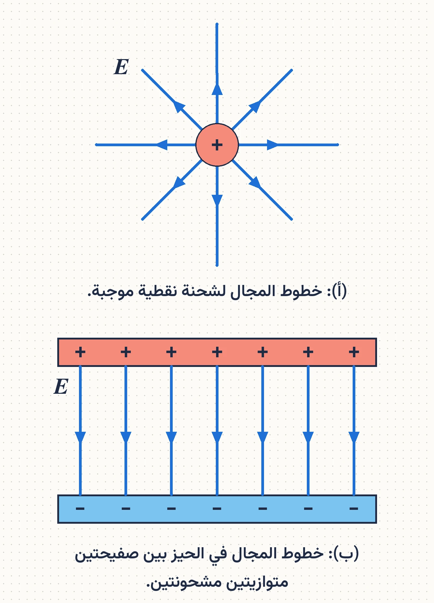 الشكل (1): خطوط المجال الكهربائي. (أ): خطوط المجال لشحنة نقطية موجبة. (ب): خطوط المجال في الحيز بين صفيحتين متوازيتين مشحونتين.