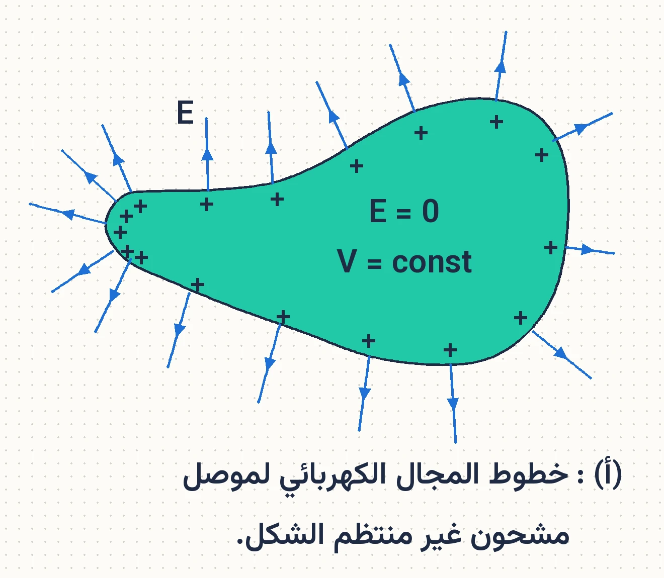 الشكل (25/أ): خطوط المجال الكهربائي لموصل مشحون غير منتظم الشكل.