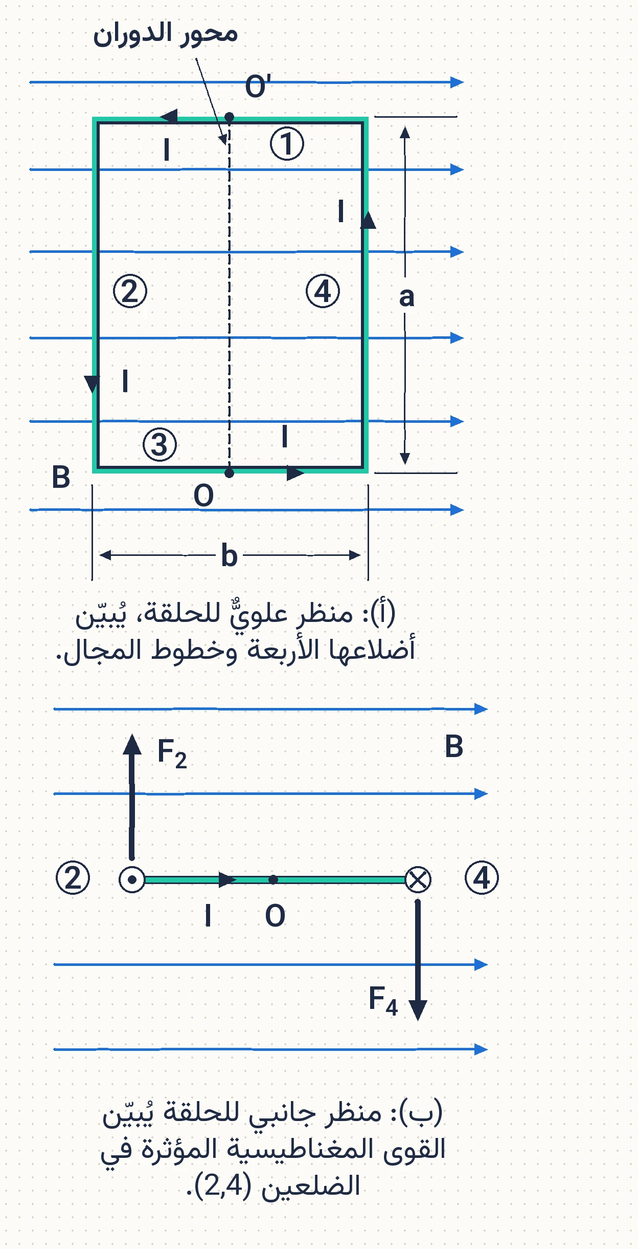 الشكل (16)