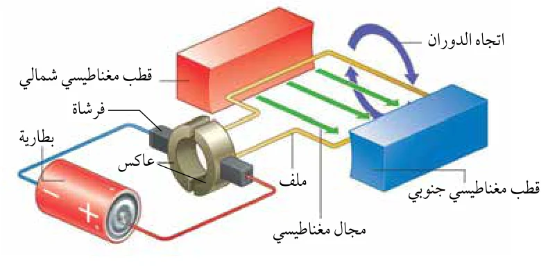 الشكل (19)