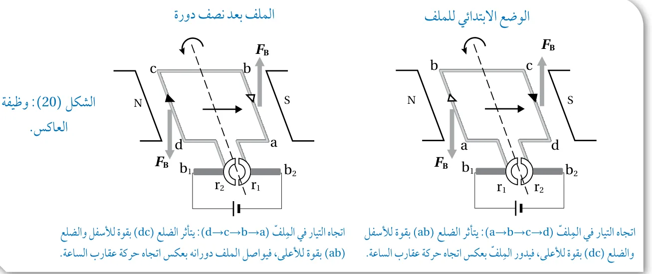 الشكل (20)