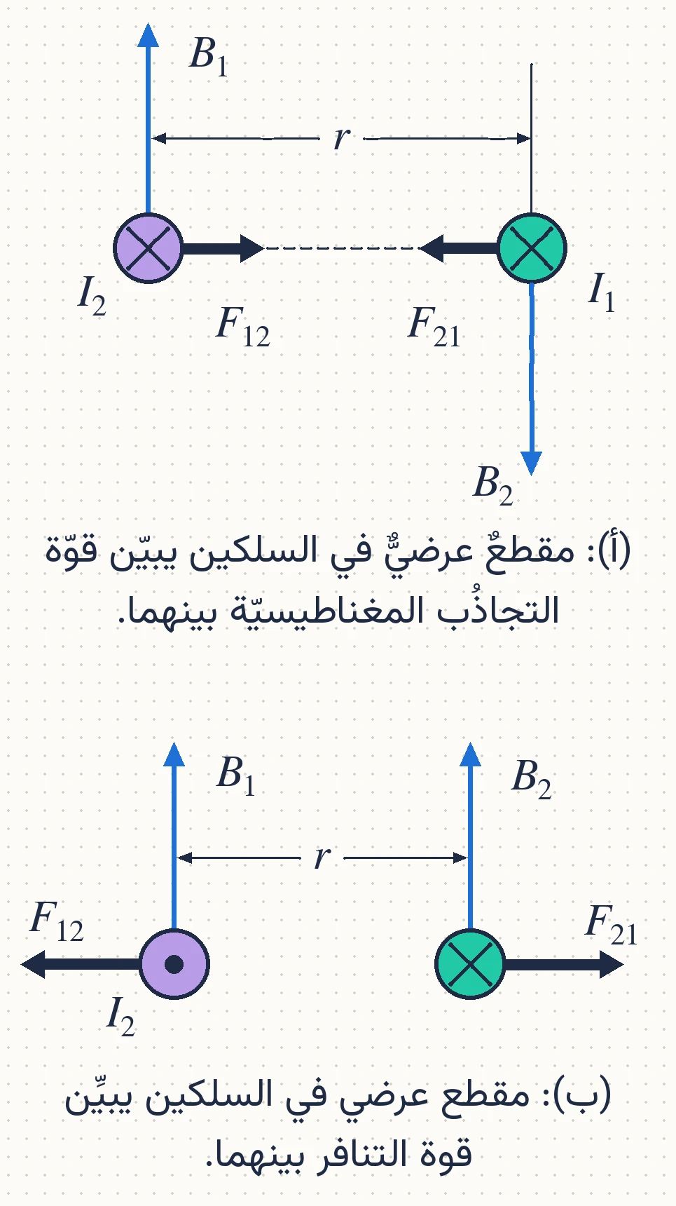 الشكل (31): مقطع عرضي يبين القوة المتبادلة بين موصلين متوازيين.