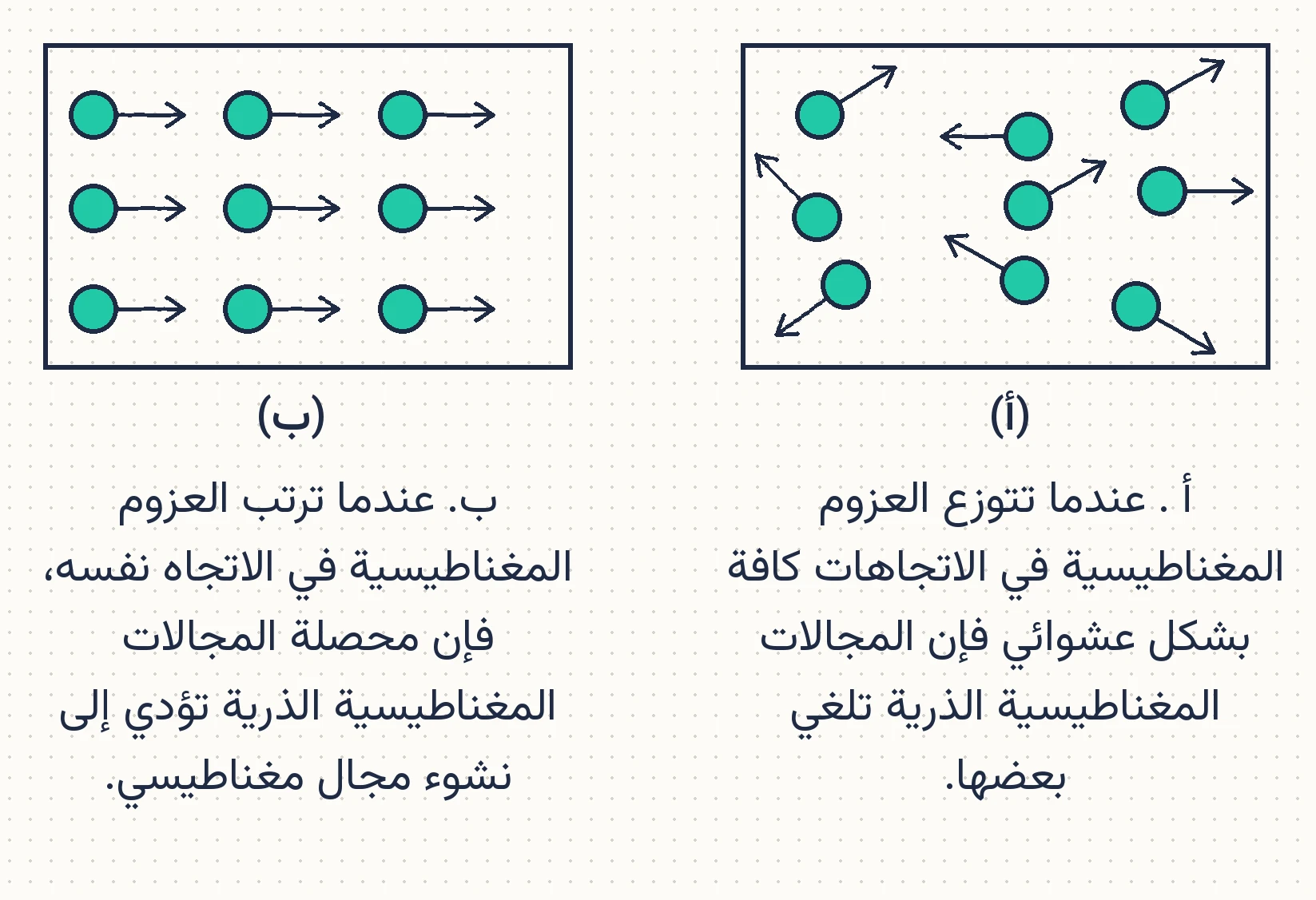 الشكل (35): يمكن اعتبار المادة وكأنها تتكون من عدد كبير من المغانط الذرية الصغيرة.