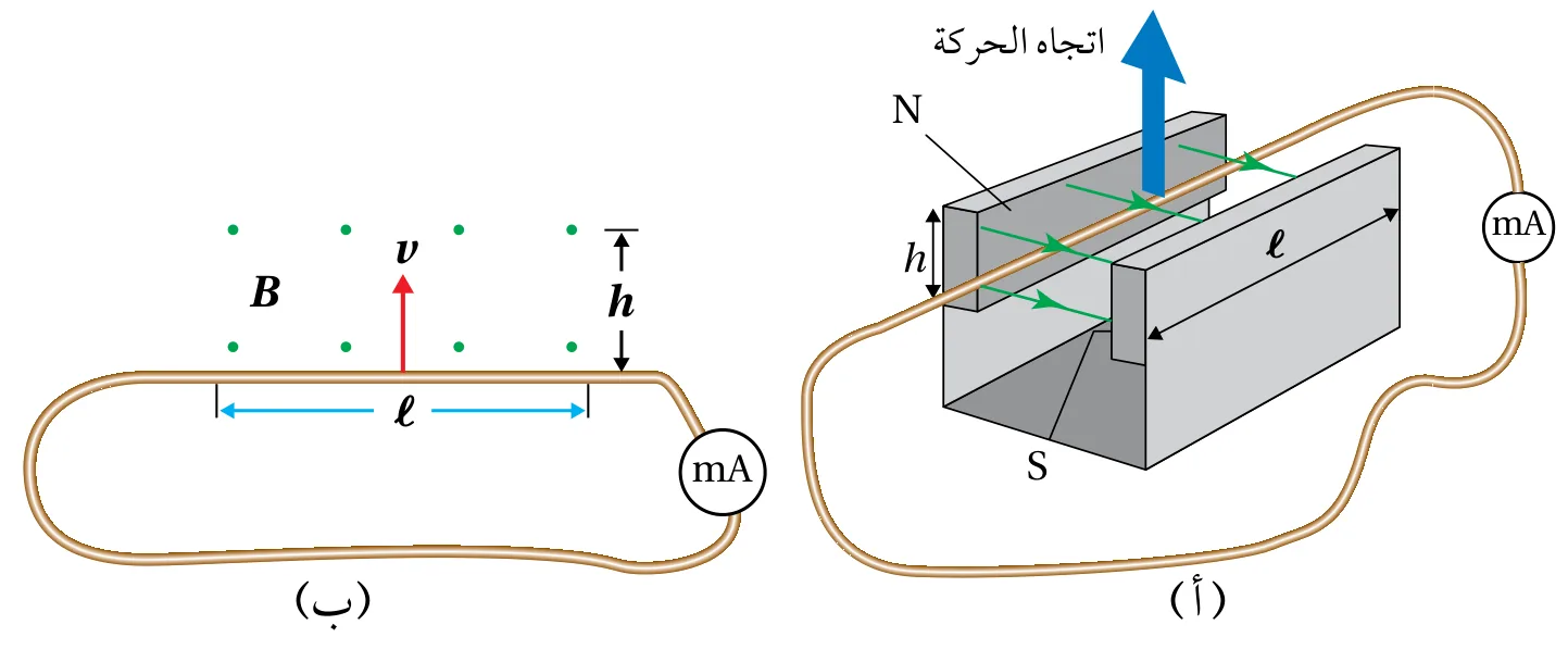 الشكل (42): (أ) تحريك سلك عموديًّا على اتجاه خطوط مجال مغناطيسي منتظم. (ب) منظر أمامي لحركة السلك داخل المجال المغناطيسي.