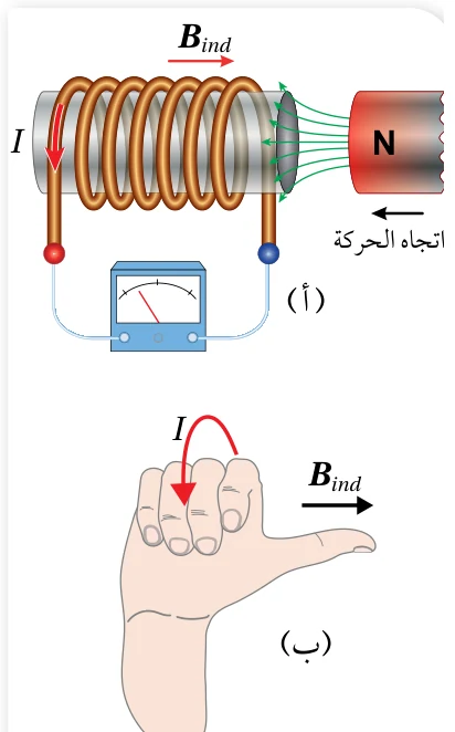 الشكل (43): (أ) تقريب القطب الشمالي لمغناطيس من أحد طرفي ملف. (ب) استخدام قاعدة اليد اليمنى لتحديد اتجاه التيار الكهربائي الحثي في الملف.